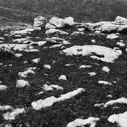 王森15的个人资料头像