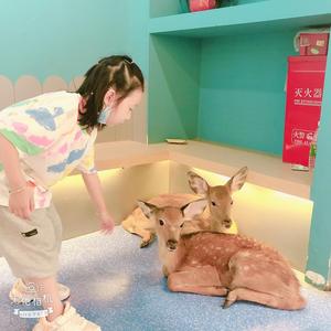 九哥就这样头像