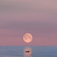 用户2594508055973头像