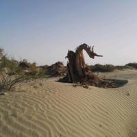 手机用户95861391338头像