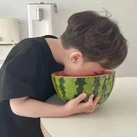 大鹏一日同哄起头像