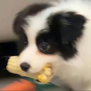 够钟_的个人资料头像