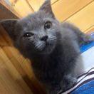 永春酱的个人资料头像