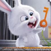 慕青青的个人资料头像