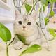 大圣是个小猫咪 · 传祺GA6车主·车龄9年头像