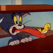 process的个人资料头像