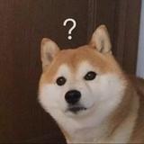 车友霸霸头像