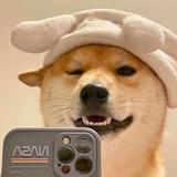 一杯冰龙舌兰头像
