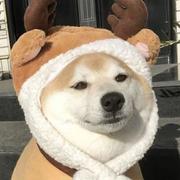 用户1663681116887的个人资料头像