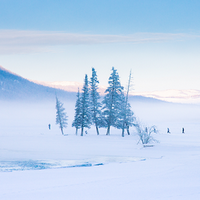 老猫谈天说地头像