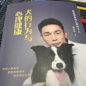 犬道唐伟敏头像