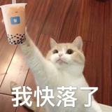 23学友23头像
