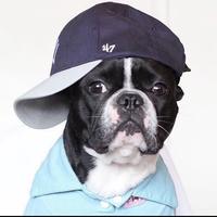 用户5617326456148头像