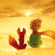 肖文文的个人资料头像