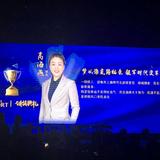 飞跃红艳头像