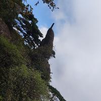 二手车姓王头像