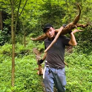 与星行走《贵州大山17年》