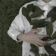 白昼梦游指南的个人资料头像