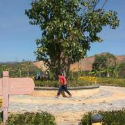 DomiDong的个人资料头像