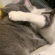 顽疲的个人资料头像