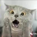 丶子筱的个人资料头像