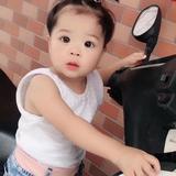 是晓灰灰头像