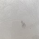 用户9080330443565头像