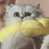 范松谦625头像