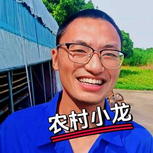 乡村小龙大世界头像