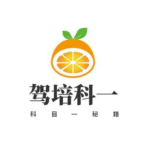 驾考教练员学车头像