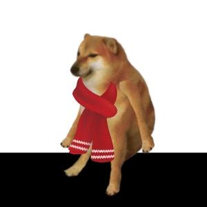老狗动画丁言头像