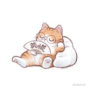 ALKAOUA的个人资料头像