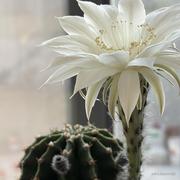 用户65062733742的个人资料头像