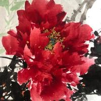 花落花开的画园头像