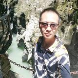 受伤的狼向仔头像