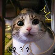 用萌的艺术家的个人资料头像