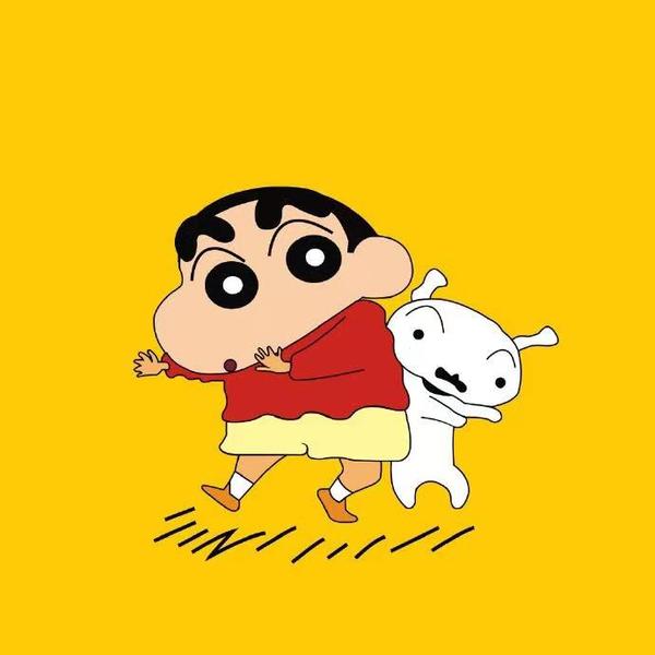 爱推小知识头像