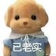 TKeeper · 极狐 阿尔法S5车主·车龄半年头像