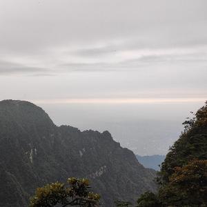 呼吸的大地头像