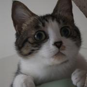 _翠花的个人资料头像