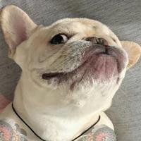 开ID的李老师头像