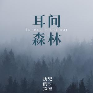 耳间森林历史的声音头像