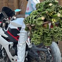 想吃颗啪华华头像