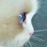 ta有点小优秀头像