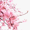 用户4573116799405头像