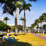 淡定宇宙7rj头像