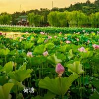 关注642头像