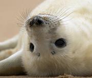 cococode的个人资料头像