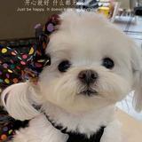 叮当49912头像