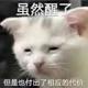 white杰洛特头像